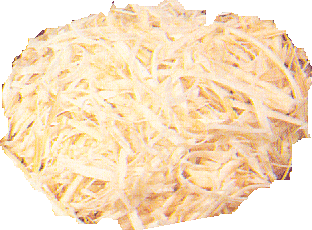 coeur de palmiste