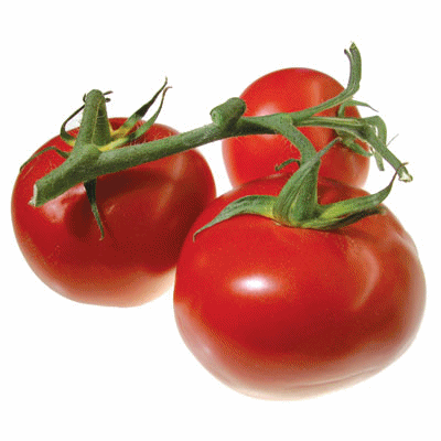 tomatoes