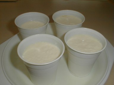 yoghurt microwave